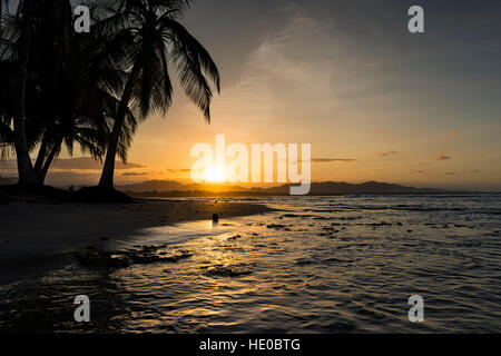 View of a beach with palm trees at sunset in Puerto Viejo de Talamanca, Costa Rica, Central America; Concept for travel in Costa Rica Stock Photo