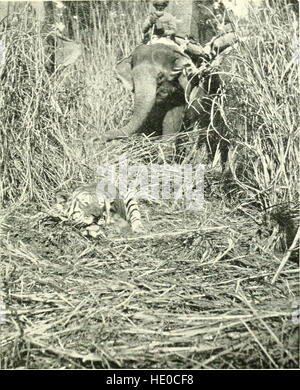 The diary of a sportsman naturalist in India (1920) Stock Photo