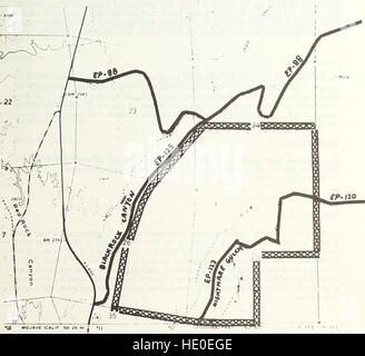 1988 plan amendments to the California Desert Conservation Area plan of 1980 - decision record (1990) Stock Photo