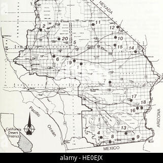 1988 plan amendments to the California Desert Conservation Area plan of 1980 - decision record (1990) Stock Photo