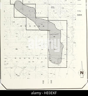 1988 plan amendments to the California Desert Conservation Area plan of 1980 - decision record (1990) Stock Photo