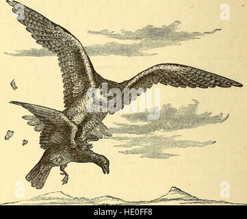 The 1874 work Animal Locomotion examines the mechanics of movement in ...