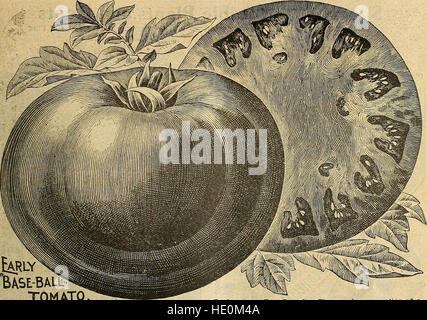 Childs' rare flowers, vegetables and fruits (1917) Stock Photo