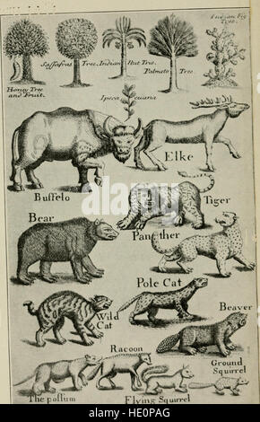 The natural history of North-Carolina. With an account of the trade, manners, and customs of the Christian and Indian inhabitants. Illustrated with copper-plates, whereon are curiously engraved the Stock Photo
