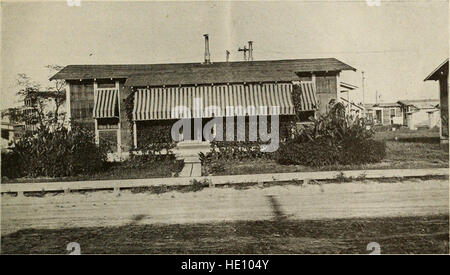 *The Survey* (1917) covers social, economic, and political conditions in the United States between October 1916 and March 1917, offering insights into issues of the time such as labor, war, and political change. Stock Photo