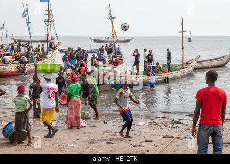 Busy traffic on beach in Tombo Harbour, Sierra Leone. The port of Tombo has no basin. It is a beach, 40 kilometers from Sierra Leone's capital Freetown. From here 700 fishing boats go out to sea. Young men carrying heavy bowls of fish from boat to shore. Others play football while waiting for more boats to arrive. Stock Photo