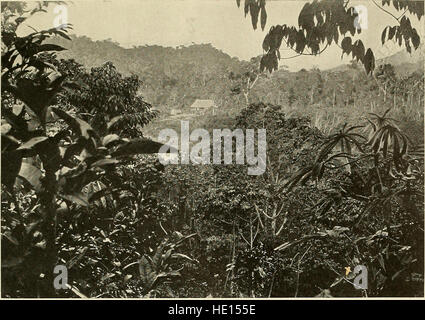 The Andes of southern Peru, geographical reconnaissance along the seventy-third meridian (1916) Stock Photo