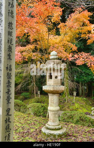 Fall colors at Daigo-ji Temple, Kyoto, Japan Stock Photo