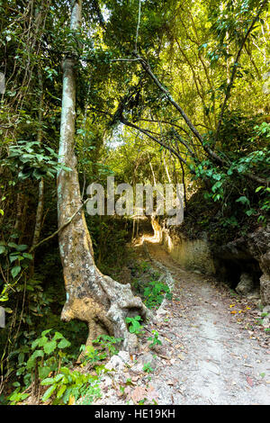 path way leading on Tembeling pool, Nusa Penida Bali Indonesia Stock Photo