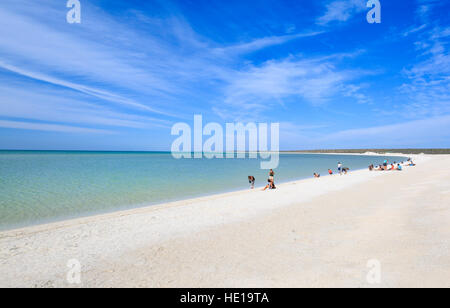 Shell Beach -formed from the billions of mollusc shells- in Shark Bay, Western Australia Stock Photo