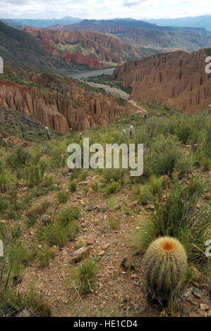 Valley near Tupiza, Altiplano, Bolivia, South America Stock Photo