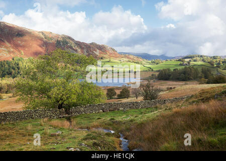 Rural landscape in Little Langdale, the Lake District, England. Stock Photo