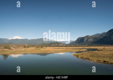 Wetlands in Squamish, British Columbia. Stock Photo