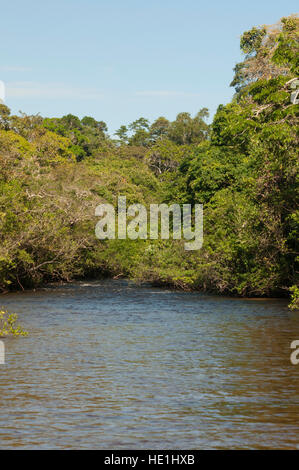 Assunto: Igarapé de aguas escuras localizado nas margens do rio Juruena - dentro do marque nacional do Juruena e sobre influência da possível construç Stock Photo