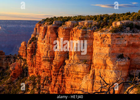 The setting sun lights up the spectacular red rock cliffs of Yaki Point on the South Rim of Grand Canyon National Park, Arizona, USA.  Yaki Point Road Stock Photo