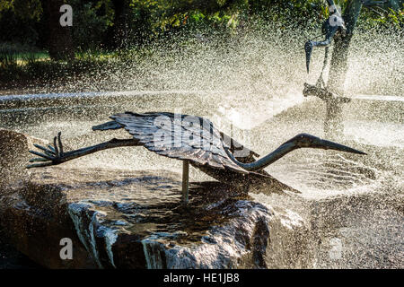 Florida St. Petersburg,Safety Harbor,Veterans Memorial Marina Park,public fountain,FL161129116 Stock Photo