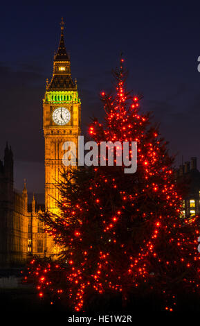 A view of a beautiful illuminated Christmas tree with the Elizabeth Tower of the Houses of Parliament in the background, London. Stock Photo