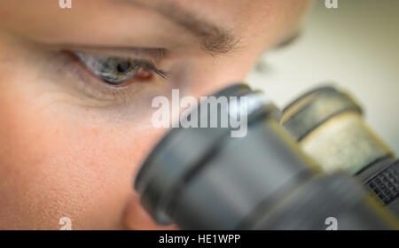 Capt. Elizabeth Foley, chief of Entomology at the Air Force Research Lab, Wright-Patterson Air Force Base, Ohio, looks through a microscope at an Aedes mosquito April 23. The Aedes mosquito can spread serious diseases such as dengue fever, yellow fever, the Zika virus and chikungunya. Aedes mosquitoes are visually distinctive because of their noticeable black and white markings on their body and legs. /Tech. Sgt. Brandon Shapiro Stock Photo