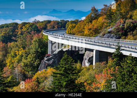 Tree and Rocks Below Linn Cove Viaduct in autumn Stock Photo