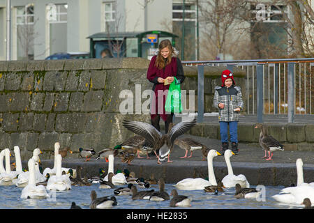 Mother with child feeding old bread to ducks, geese and whooper swans at lake in city park in winter Stock Photo