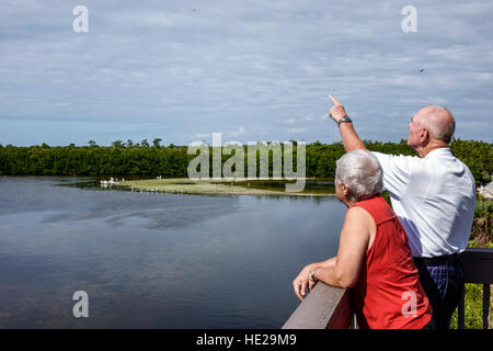 Florida Sanibel Island,J. N. J.N. JN Ding Darling National Wildlife Refuge,senior seniors citizen citizens,adult,adults,man men male,woman female wome Stock Photo