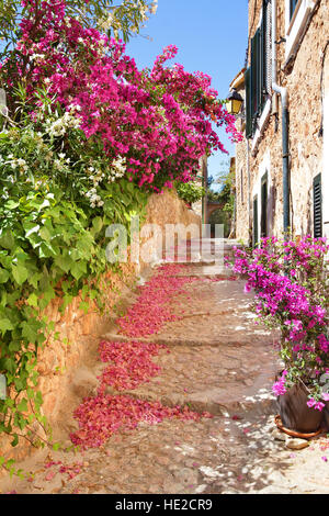 Romantic narrow street with blooming bougainvillea flowers on the island of Majorca in Spain Stock Photo