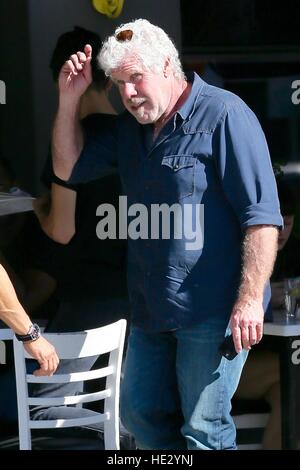 Ron Perlman seen getting into his new Tesla Model S after breakfast at Toast Bakery  Featuring: Ron Perlman Where: Los Angeles, California, United States When: 03 Nov 2016 Stock Photo