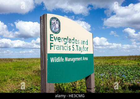 Florida Everglades,Alligator Alley,Francis S. Taylor Wildlife Management Area,FL161125059 Stock Photo