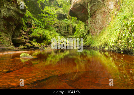 Red sandstone rocks seen through water at the Devils Pulpit,  Finnich Glen near Glasgow, Scotland. Stock Photo