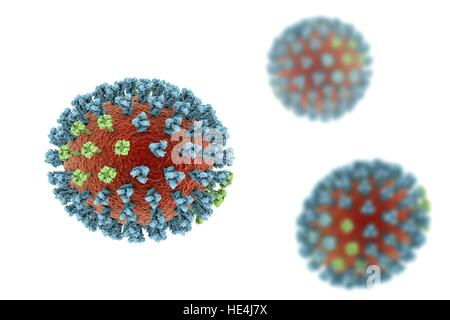 Bird flu virus. 3D illustration of avian influenza H5N8 virus particles. Within the viral lipid envelope (orange) are two types of protein spike, hemagglutinin (H, blue) and neuraminidase (N, green), which determine the strain of virus. This strain of the virus has caused disease in wild birds and poultry in Europe and Asia since June 2016. Unusually, the virus causes mortality in wild birds, which are more often silent carriers. As of December 2016 no human cases of the disease have been reported, and risk of transmission to humans is thought to be low. Stock Photo