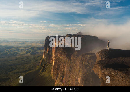 Vegetação de altitude hi-res stock photography and images - Alamy