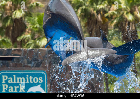 Making a Splash in Palmitos Park Stock Photo