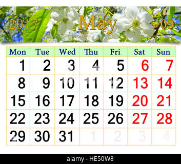 calendar for May 2017 with white blooming cherry tree Stock Photo