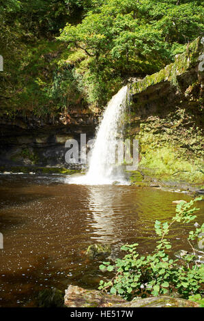 Sgwd Gwladys (Lady Falls) Waterfall, Pontneddfechan, Brecon Beacons, Wales, UK Stock Photo