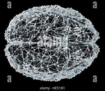 Abstract brain. Network connection background Stock Photo