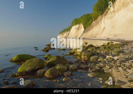 Chalk coast, Jasmund National Park, stones with algae, Baltic Sea beach, Sassnitz, Rügen, Mecklenburg-Western Pomerania Stock Photo