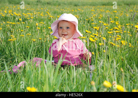 1-year-old girl sitting in a field of dandelions Stock Photo