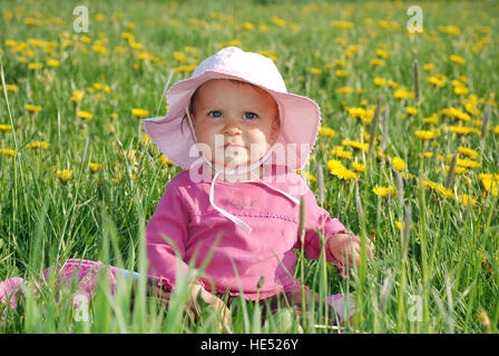 1-year-old girl sitting in a field of dandelions Stock Photo