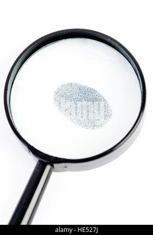 Fingerprint under a magnifying glass Stock Photo
