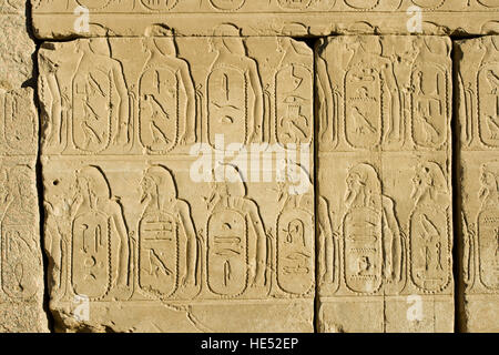 Hieroglyphs, Temples of Karnak, Luxor, Nile Valley, Egypt, Africa Stock Photo