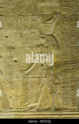 Hieroglyph depicting the god Horus, Temple of Horus, Edfu, Luxor, Nile Valley, Egypt, Africa Stock Photo