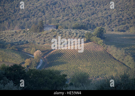 Tuscan hills and countryside from the Santa Lucia road, San Gimignano, Tuscany, Italy. Stock Photo