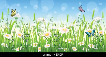 Flower meadow in summer with butterfly Stock Vector