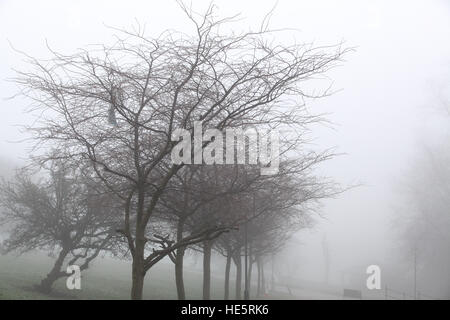 Alexandra Palace, North London, UK. 17th Dec, 2016. View of dense morning fog on Alexandra Palace © Dinendra Haria/Alamy Live News Stock Photo