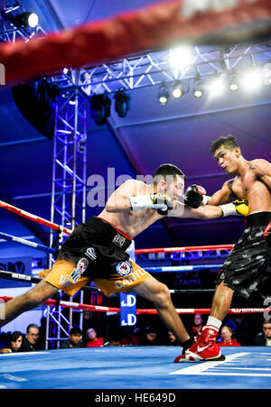 Las Vegas, Nevada, USA. 17th Dec, 2016. 'Lil' Oscar Cantu battles Aston Palicte in the main event a Super Flyweight championship bout at  “Knockout Night at the D”  presented by the D Las Vegas and DLVEC and promoted by Roy Jones Jr. Boxing. Credit: Ken Howard/Alamy Live News Stock Photo