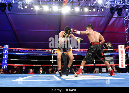 Las Vegas, Nevada, USA. 17th December, 2016. 'Lil' Oscar Cantu battles Aston Palicte in the main event, a Super Flyweight championship bout at  “Knockout Night at the D”  presented by the D Las Vegas and DLVEC and promoted by Roy Jones Jr. Boxing. Credit: Ken Howard/Alamy Live News Stock Photo