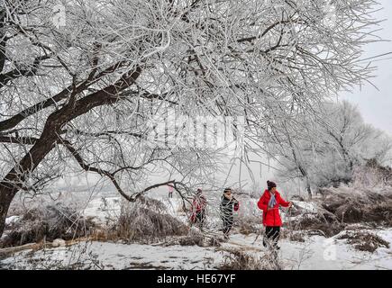 Changchun, China's Jilin Province. 19th Dec, 2016. Tourists enjoy the rime scenery at a scenic spot in Jilin City, northeast China's Jilin Province, Dec. 19, 2016. © Xu Chang/Xinhua/Alamy Live News Stock Photo