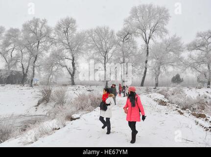 Changchun, China's Jilin Province. 19th Dec, 2016. Tourists enjoy the rime scenery at a scenic spot in Jilin City, northeast China's Jilin Province, Dec. 19, 2016. © Xu Chang/Xinhua/Alamy Live News Stock Photo