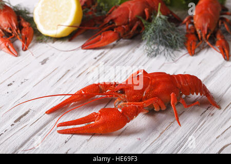 crayfish boiled with lemon and dill on a table close up. horizontal Stock Photo