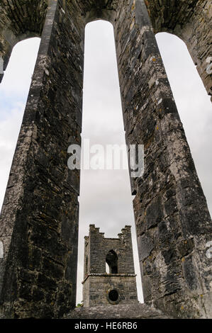 Ancient stone windows at Cong Abbey, Ireland Stock Photo